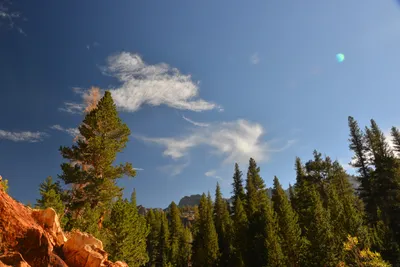 DSC_7843 (Large).JPG